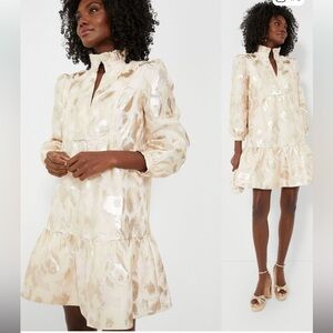 Tuckernuck NEW Bellini Fil Coupe Champagne
Palmerston Formal Mini Dress Size S